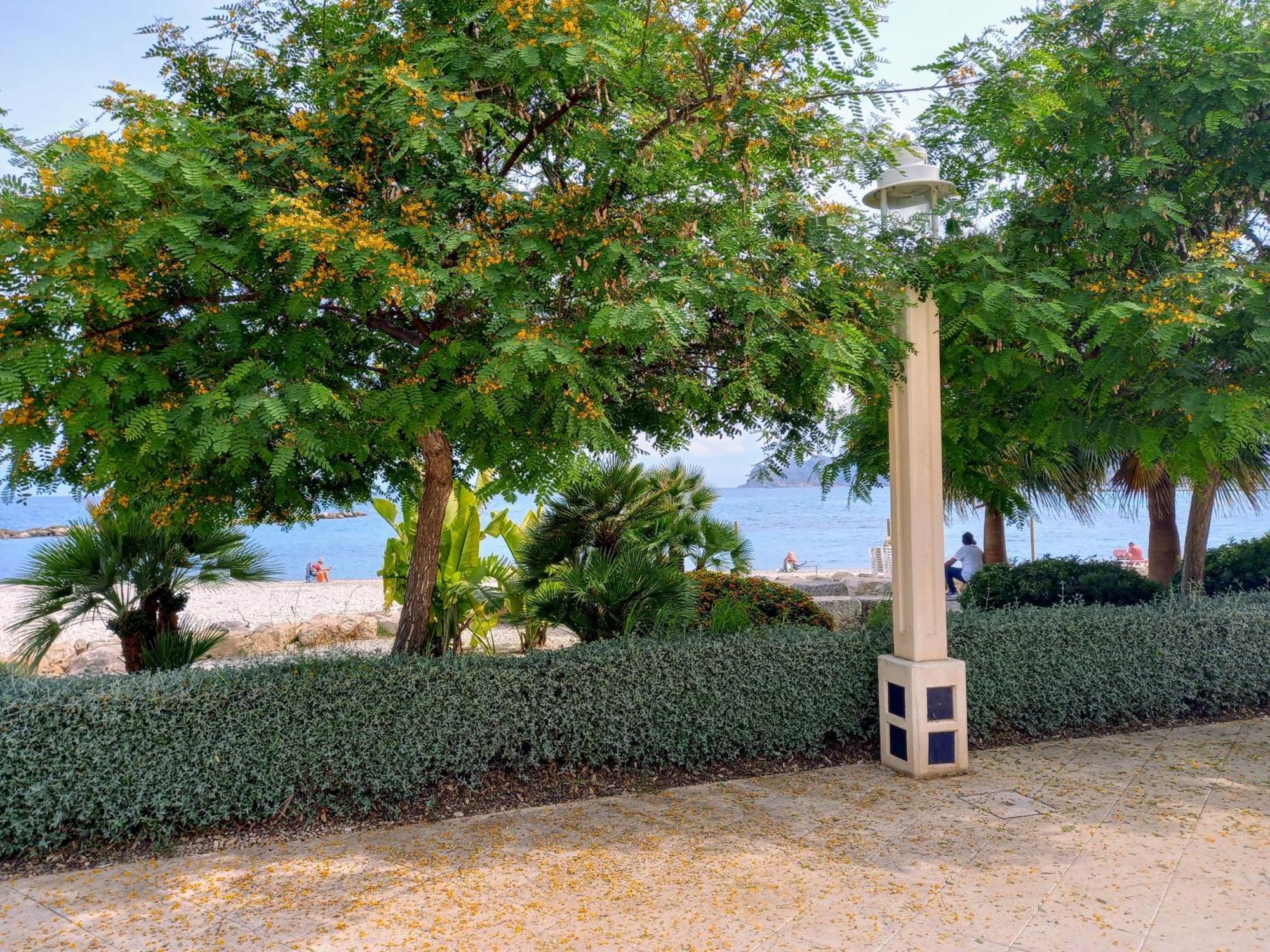 Villa Altea Olivos G Extérieur photo